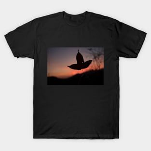 Leaf T-Shirt